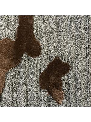 Koberce - Wim Bruynooghe (Fame 12, Class 18) - JOV-WIMBRUY - 4117