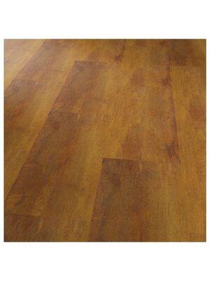 Vinyl - Expona Commercial 2,5 mm-0.55 pur - OBF-EXPCOM25 - 5098 Rusted Metal