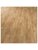 Vinyl - Expona Commercial 2,5 mm-0.55 pur - OBF-EXPCOM25 - 4017 Blond Country Plank