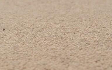 Carpets - Tanger 450x70 cm - E-CRE-TANGERAB457 - 595 Sand