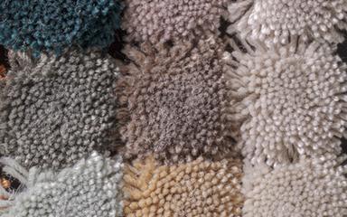 Carpets - FdS Band 0 Botanical Silk Contract (TT) - FERR-BOTSILKTT - TT50 Sand