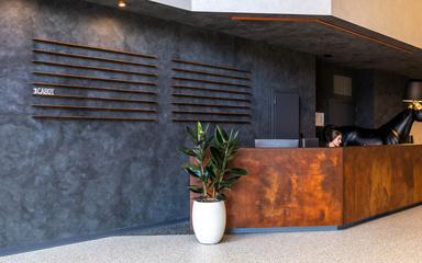 Cement screeds - BG Oxy - 87892 - Zinc