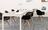 Koberce - Assembly Convene tw sd 25x100 cm - SHA-CONVENETW - Brilliant Foundation  67585