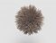 FdS Band 0 Mohair (TW): TW302 Soft Brown
