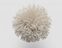 FdS Band 0 Mohair (TW) 45 mm: TW303 Beige