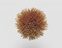 FdS Band 0 Mohair (TW): TW520 Golden Brown