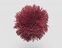 FdS Band 0 Mohair (TW) 45 mm: TW674 Dark Red