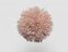 FdS Band 0 Mohair (TW): TW711 Mellow Rose