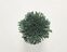 FdS Band 0 Botanical Silk Contract (TT): TT168 Cactus Green