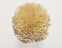 FdS Band 0 Botanical Silk (T): T86 Dried Wheat