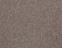 Tivoli sd acc 50x50 cm: 20208 Belize Greige