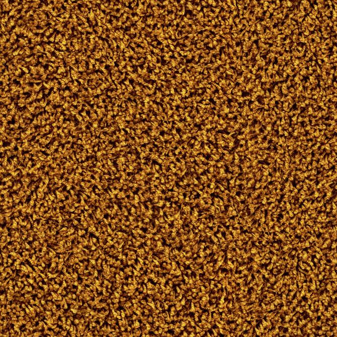 Carpets - Maxime cab 400 - TOBJC-MAXIME - 6868 Golden Tulip