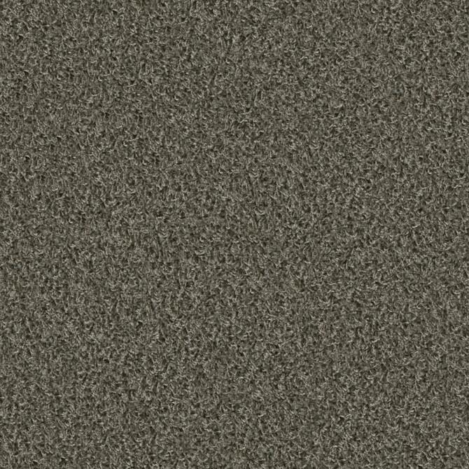 Carpets - Poodle 1400 cab 400 - OBJC-POODLE - 1424 Koala