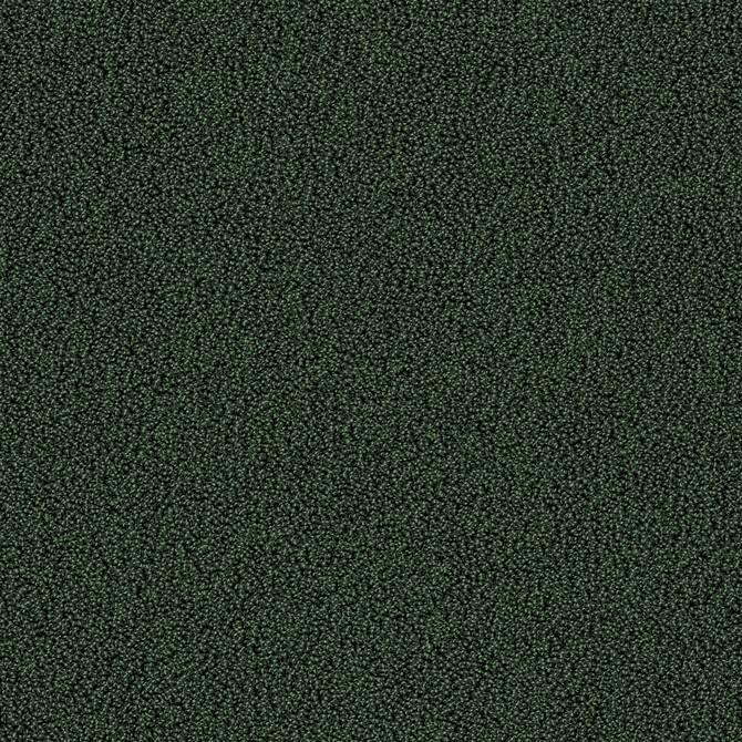 Carpets - Gloss Econyl sd cab 400 - TOBJC-GLOSS - 7919 Liane