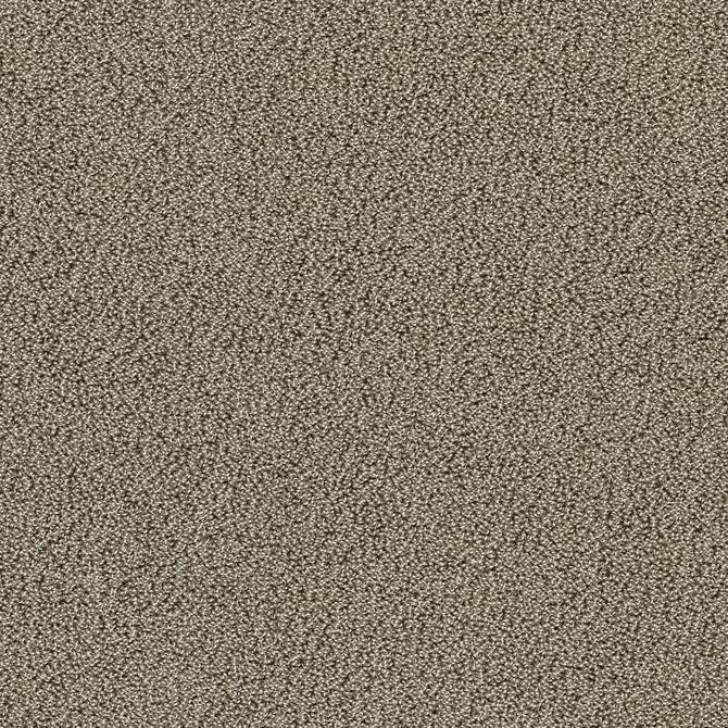 Carpets - Gloss Econyl sd cab 400 - TOBJC-GLOSS - 7903 Auster