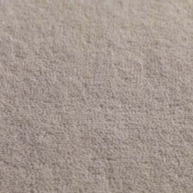 Carpets - Jaspur pp 400 500 - JAC-JASPUR - Cockle