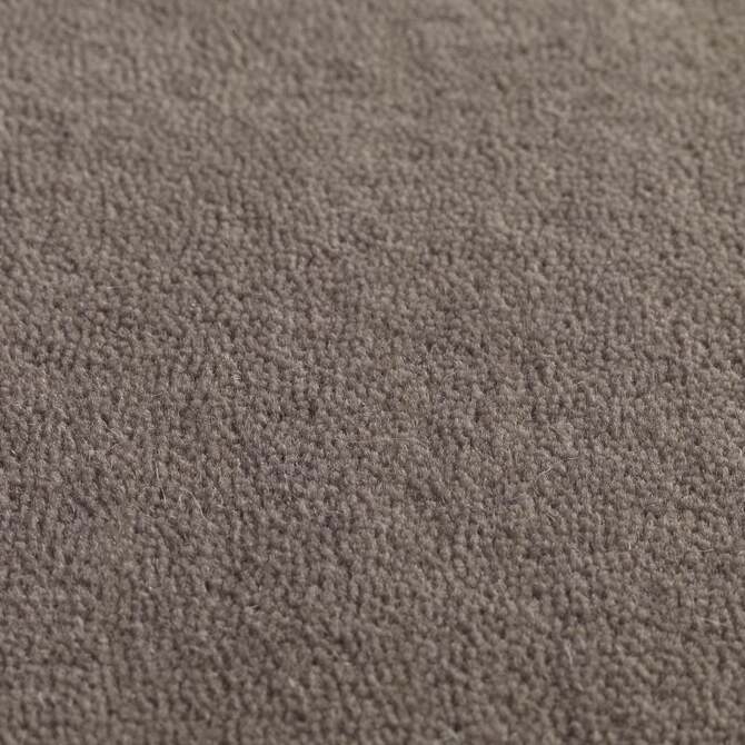 Carpets - Jaspur pp 400 500 - JAC-JASPUR - Heron