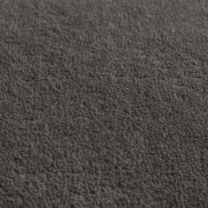 Carpets - Jaspur pp 400 500 - JAC-JASPUR - Night