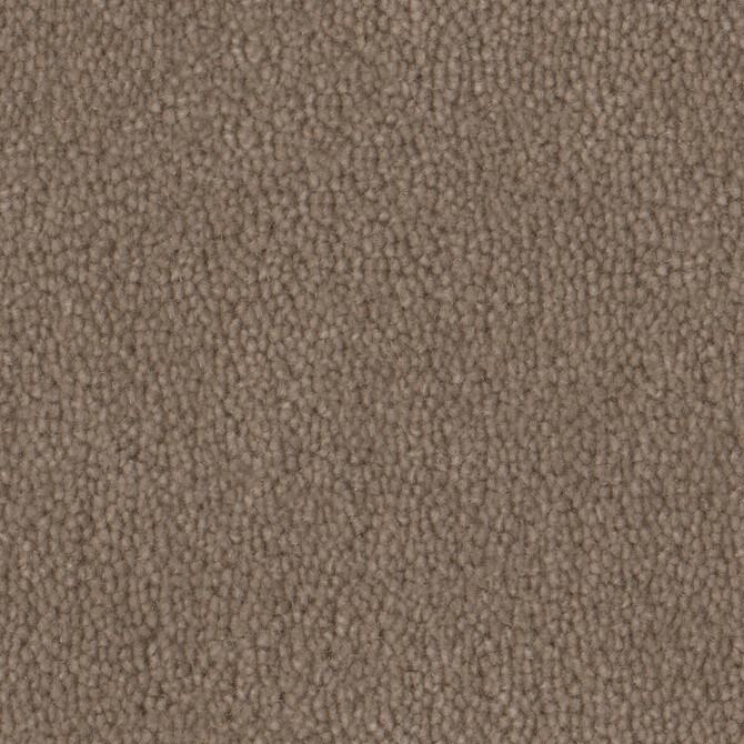 Carpets - Pure Wool 2600 cab 400 - OBJC-PUREWL - 2604 Acorn