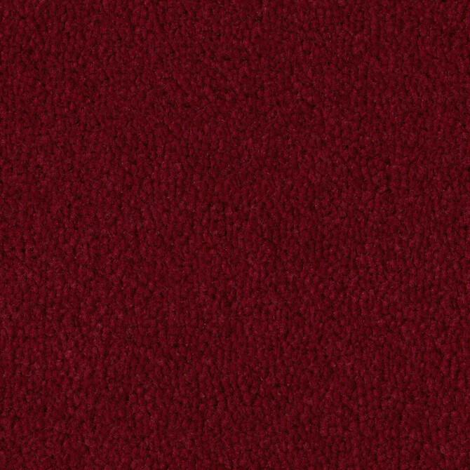 Carpets - Pure Wool 2600 cab 400 - OBJC-PUREWL - 2616 Berry