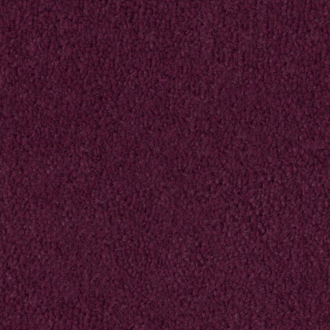 Carpets - Pure Wool 2600 cab 400 - OBJC-PUREWL - 2614 Bloom