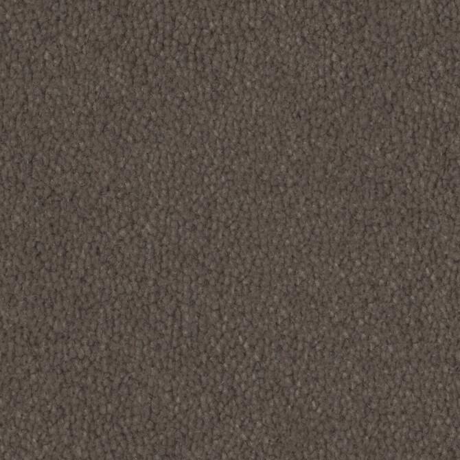 Carpets - Pure Wool 2600 cab 400 - OBJC-PUREWL - 2608 Rabbit