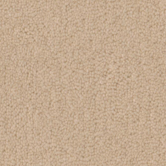Carpets - Pure Wool 2600 cab 400 - OBJC-PUREWL - 2603 Windflower