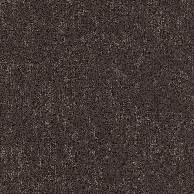 Carpets - Moss sd b2b 50x50 cm - MOD-MOSS - 810