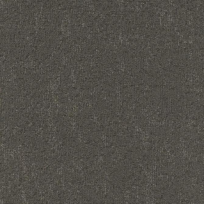 Carpets - Moss sd b2b 50x50 cm - MOD-MOSS - 850