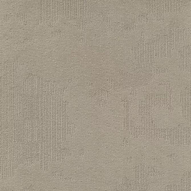 Carpets - Velvet& sd b2b 50x50 cm - MOD-VELVET - 130