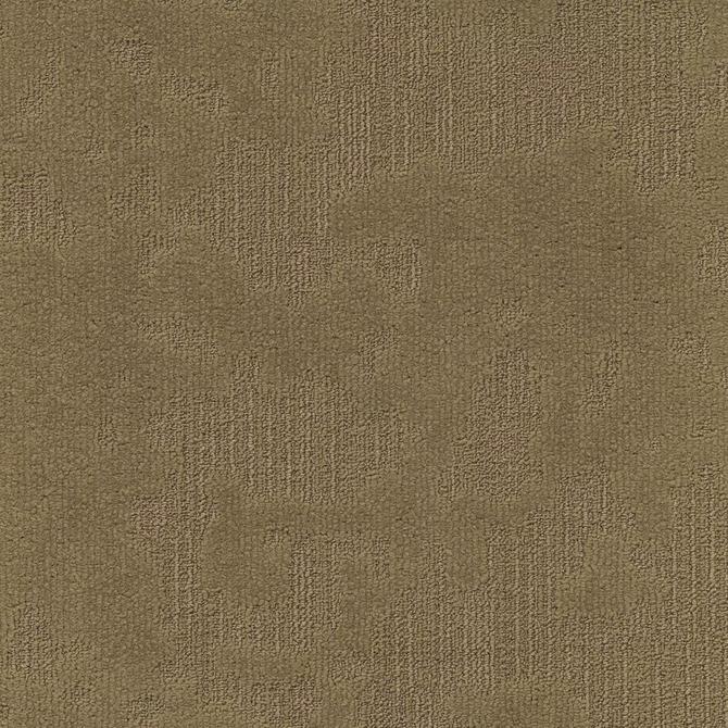 Koberce - Velvet& sd b2b 50x50 cm - MOD-VELVET - 212