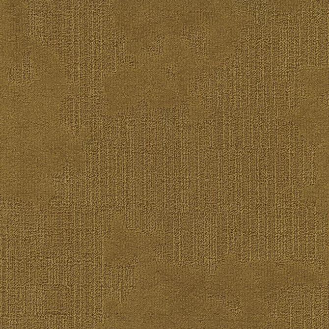 Koberce - Velvet& sd b2b 50x50 cm - MOD-VELVET - 213