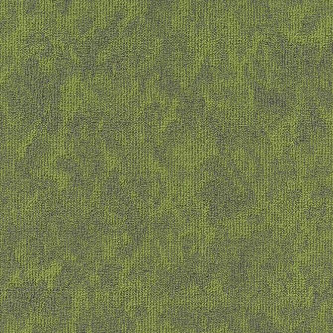Carpets - Vision sd b2b 50x50 cm - MOD-VISION - 669