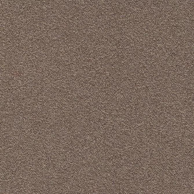 Carpets - Perpetual sd b2b 50x50 cm - MOD-PERPETUAL - 136