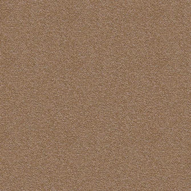 Carpets - Perpetual sd b2b 50x50 cm - MOD-PERPETUAL - 221