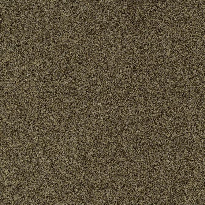 Carpets - Gleam sd b2b 50x50 cm - MOD-GLEAM - 212