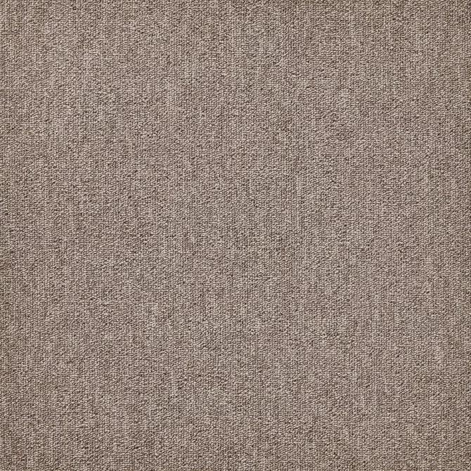 Carpets - First Forward sd b2b 50x50 cm - MOD-FFORWARD - 061
