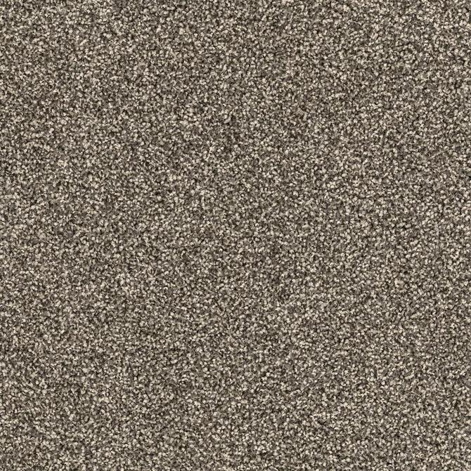 Carpets - DSGN Force sd b2b 50x50 cm - MOD-FORCE - 42