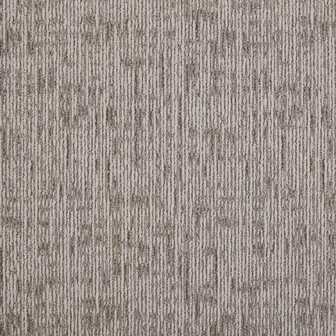 Carpets - DSGN Absolute sd b2b 50x50 cm - MOD-ABSOLUTE - 061