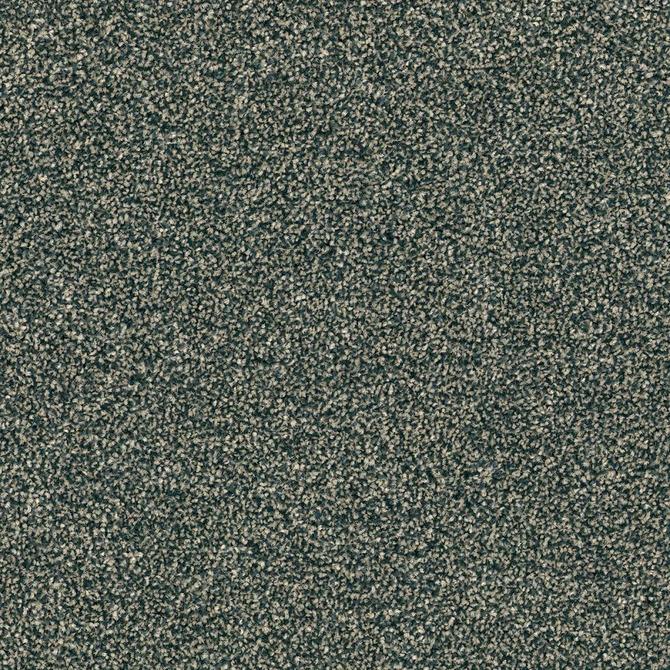 Carpets - DSGN Force sd b2b 50x50 cm - MOD-FORCE - 142