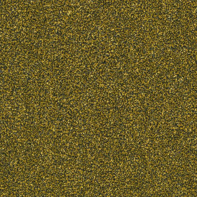 Carpets - DSGN Force sd b2b 50x50 cm - MOD-FORCE - 282