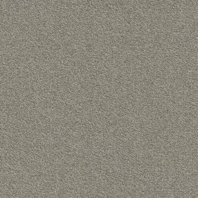 Carpets - Millennium Nxtgen sd b2b 50x50 cm - MOD-MILLENNIUM - 102