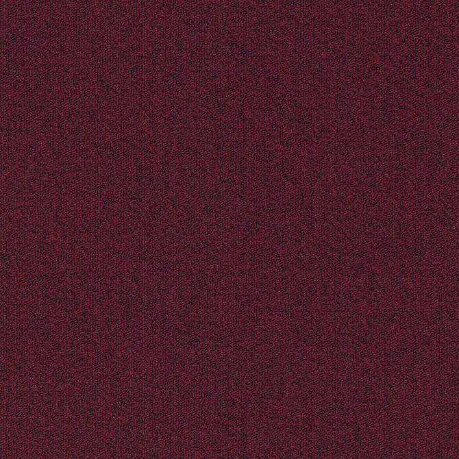 Carpets - Millennium Nxtgen sd b2b 50x50 cm - MOD-MILLENNIUM - 310