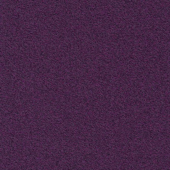 Carpets - Millennium Nxtgen sd b2b 50x50 cm - MOD-MILLENNIUM - 411