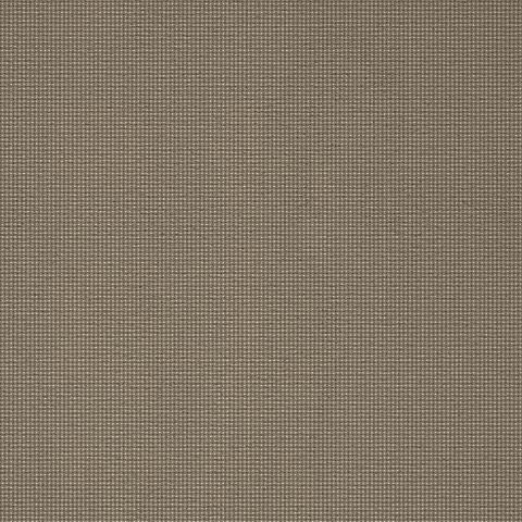 Carpets - pm-Suite Symphony Schubert ab 400 - BLT-SSSCHUBERT - 143