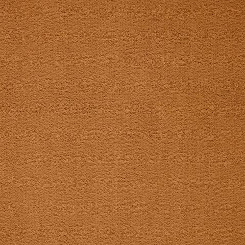 Carpets - Prominent ab 400 - BLT-PROMINENT - 54
