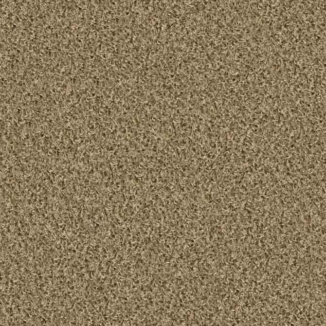 Carpets - Poodle 1400 cab 400 - OBJC-POODLE - 1431 Playa