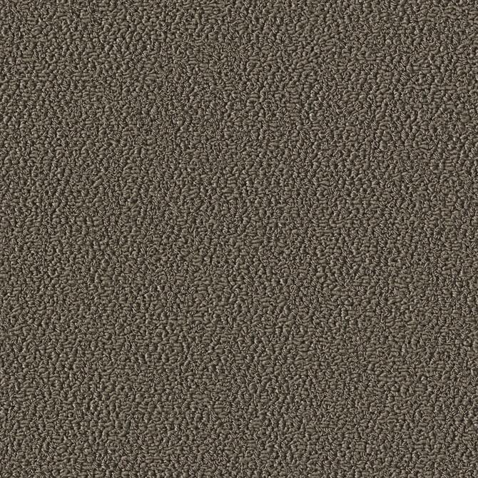 Carpets - Allure 1000 Econyl sd cab 400 - OBJC-ALLURE - 1001 Greige