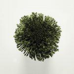 Koberce - FdS Band 0 Botanical Silk (T) - FERR-BOTSILKT - T121 Jungle Green