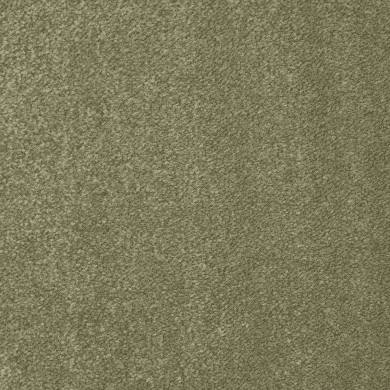 Koberce - Lusso 100% pad db 400 500 - FAM-LUSSO - 521520